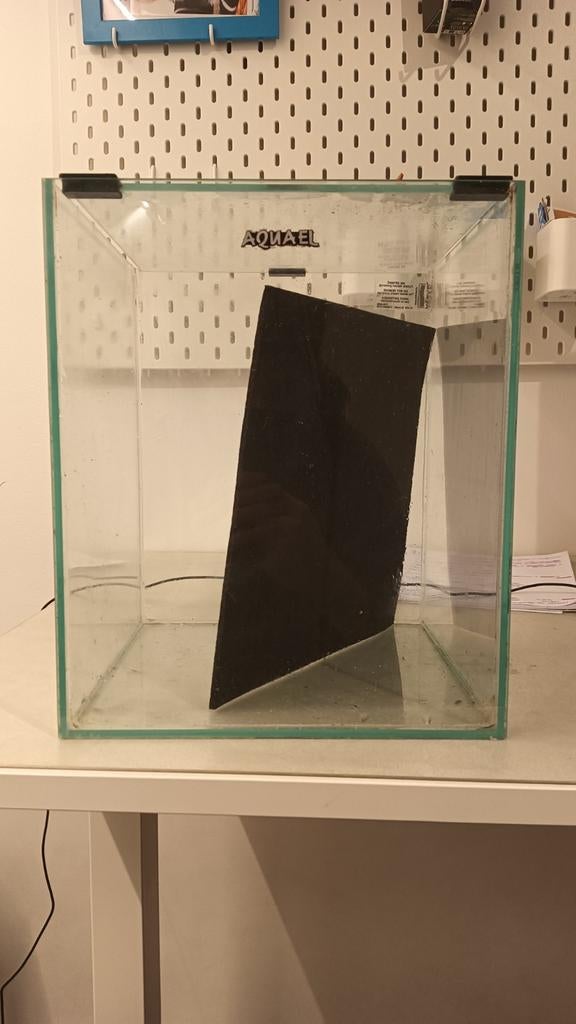 Perfect beginner aquarium/ beta Aquarium, Ophalen