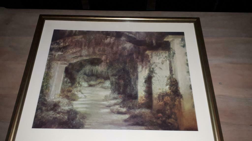 Dessin avec cadre - Bekaert plantentuin, 75 cm ou plus, Comme neuf, Enlèvement, Dessin