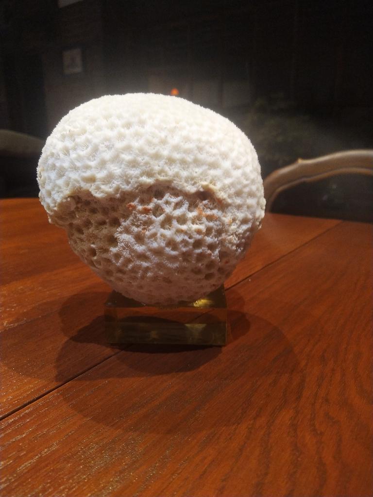 CORAIL, Collections, Enlèvement ou Envoi, Minéral