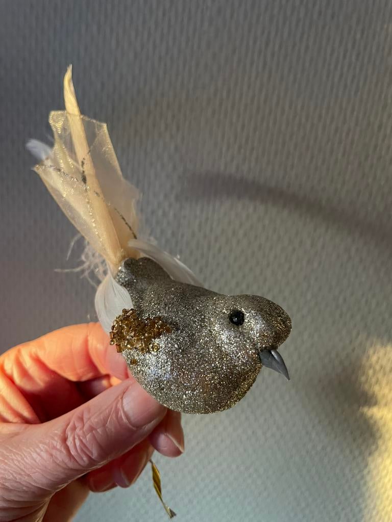 Mooie vogel met knijper, Diversen, Ophalen of Verzenden