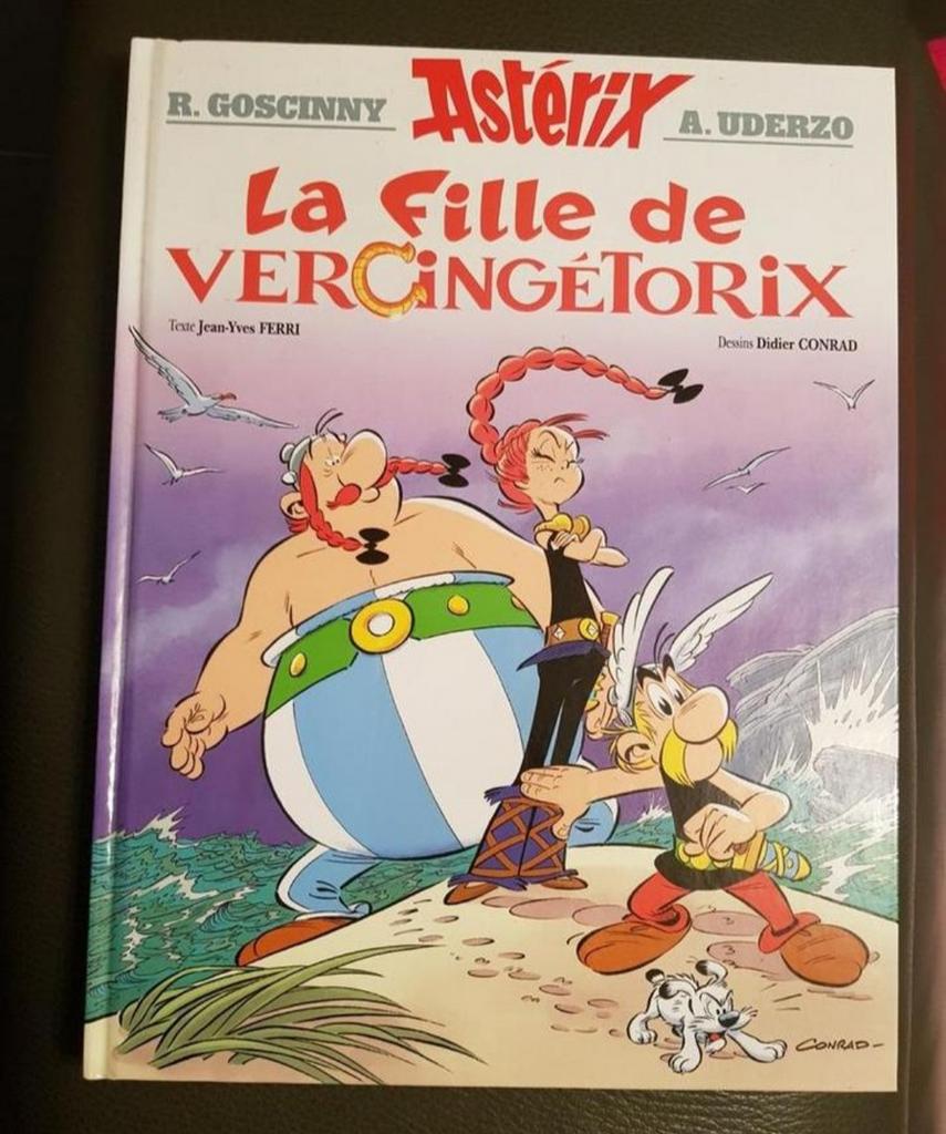 BD neuve Astérix la fille de Vercingétorix, Livres, Enlèvement ou Envoi