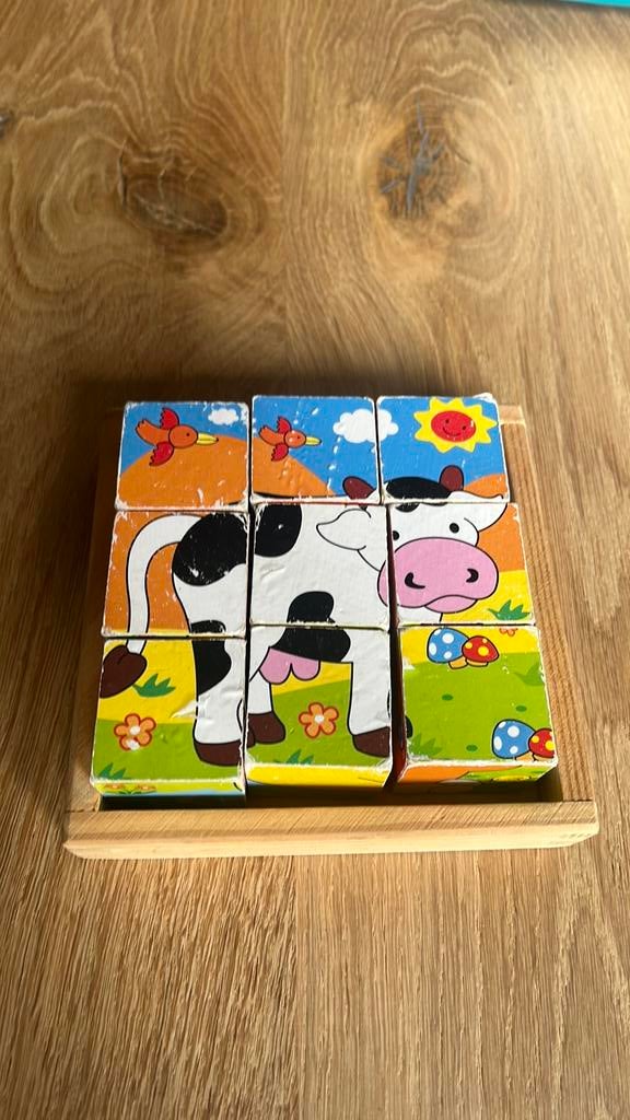 Houten blokken puzzel 9 stuks, Ophalen, Minder dan 10 stukjes, Gebruikt, Van hout