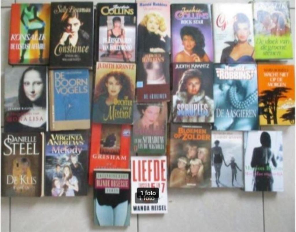 23 beaux romans hollandais, Livres, Romans, Comme neuf, Enlèvement ou Envoi