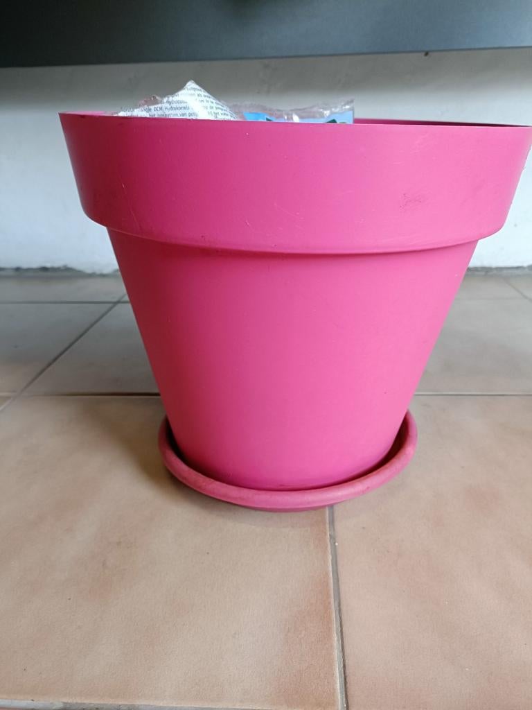 Pot de fleur fushia, Enlèvement ou Envoi