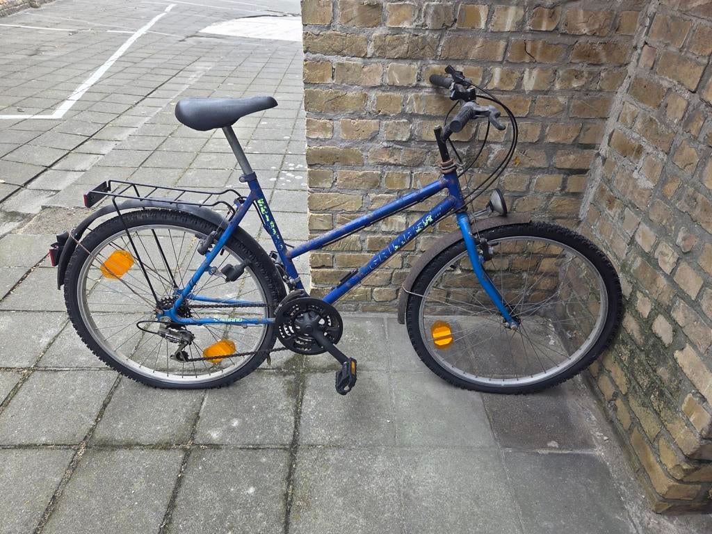 Velo - Fiets, Vélos & Vélomoteurs, Enlèvement, Utilisé
