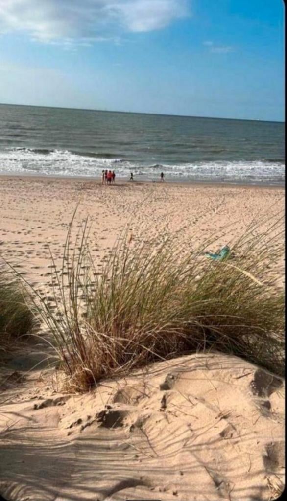 Caravane résidentielle de Haan avec piscine extérieure
