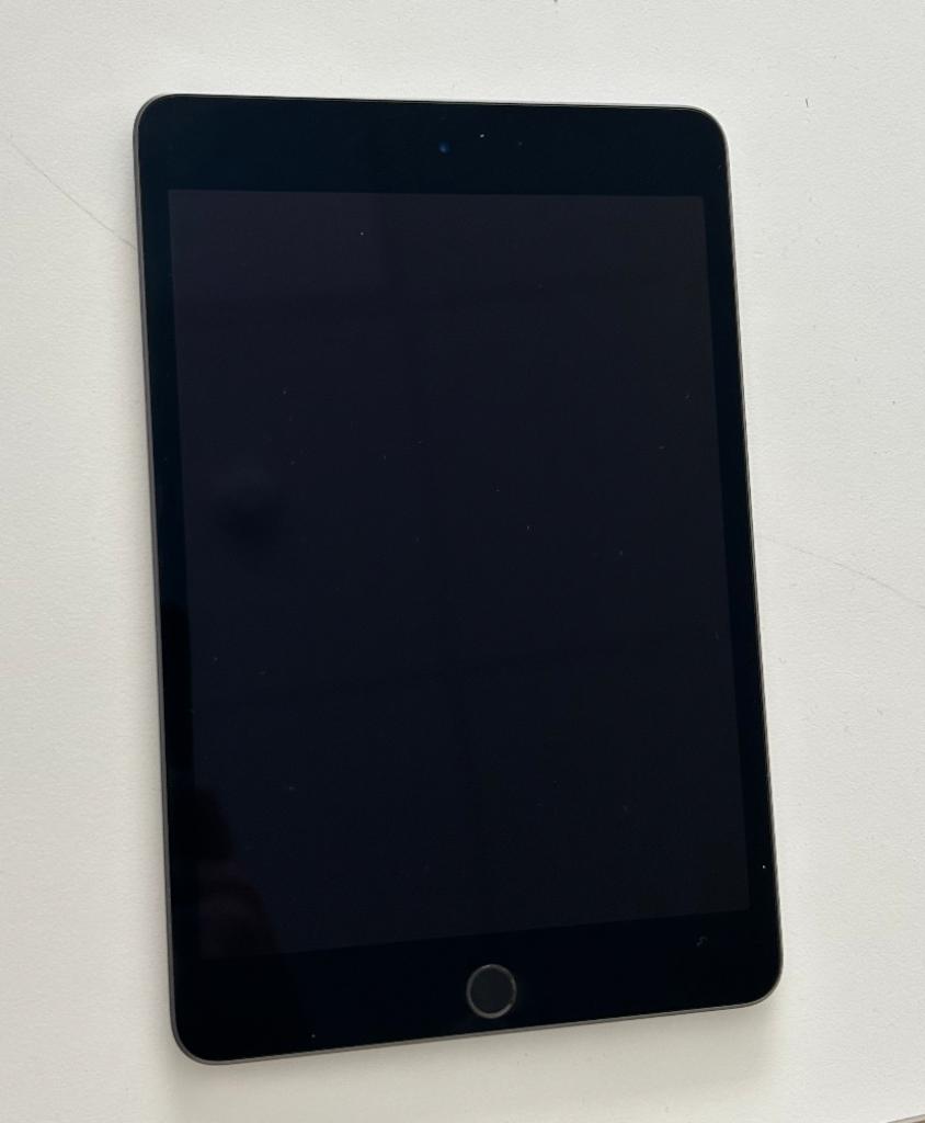 Apple iPad mini 5 Wi-Fi 64 Go Gris, Informatique & Logiciels, Enlèvement, Utilisé, Wi-Fi