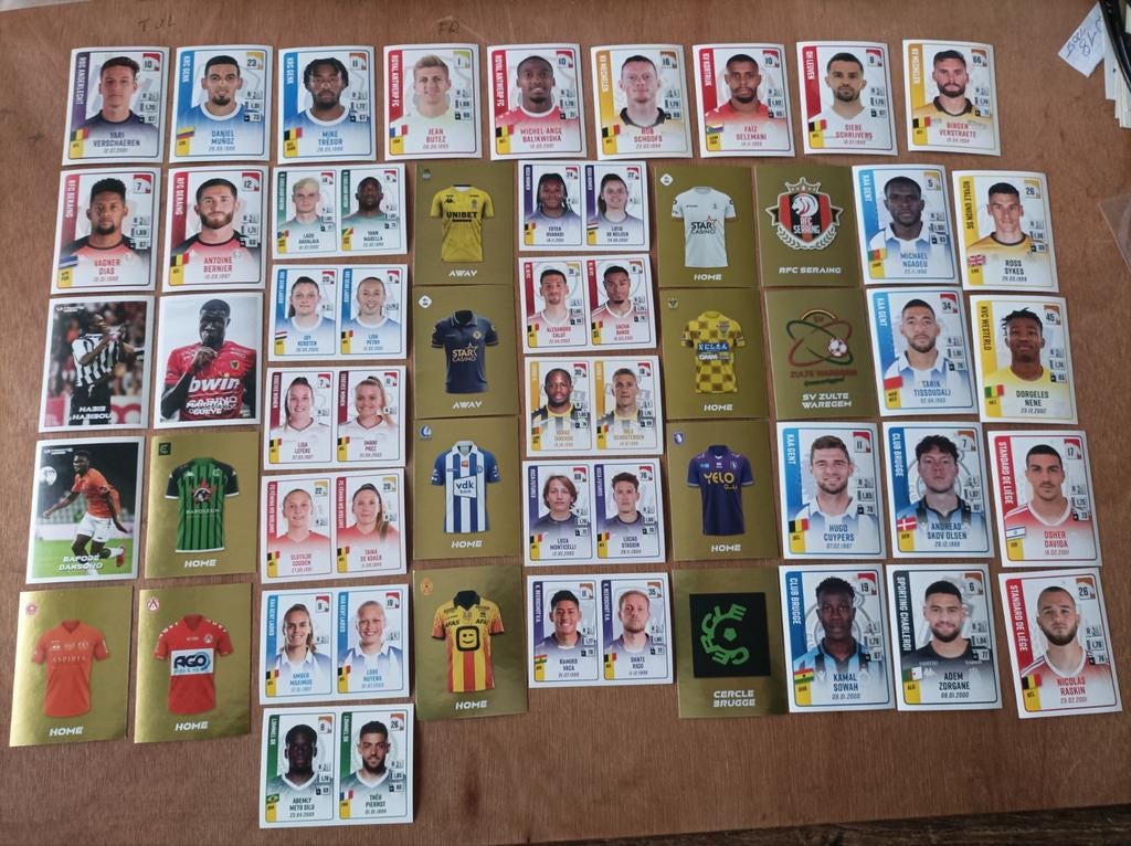 Panini pro league 2022-2023 , 48 verschillende stickers, Ophalen of Verzenden, Zo goed als nieuw