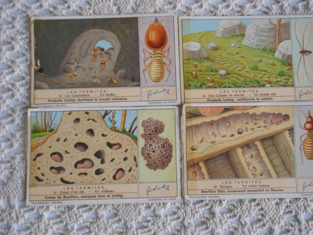4 prenten van Liebig uit de reeks "Les termites", Verzamelen, Gebruikt, Ophalen of Verzenden, 1940 tot 1960, Dier