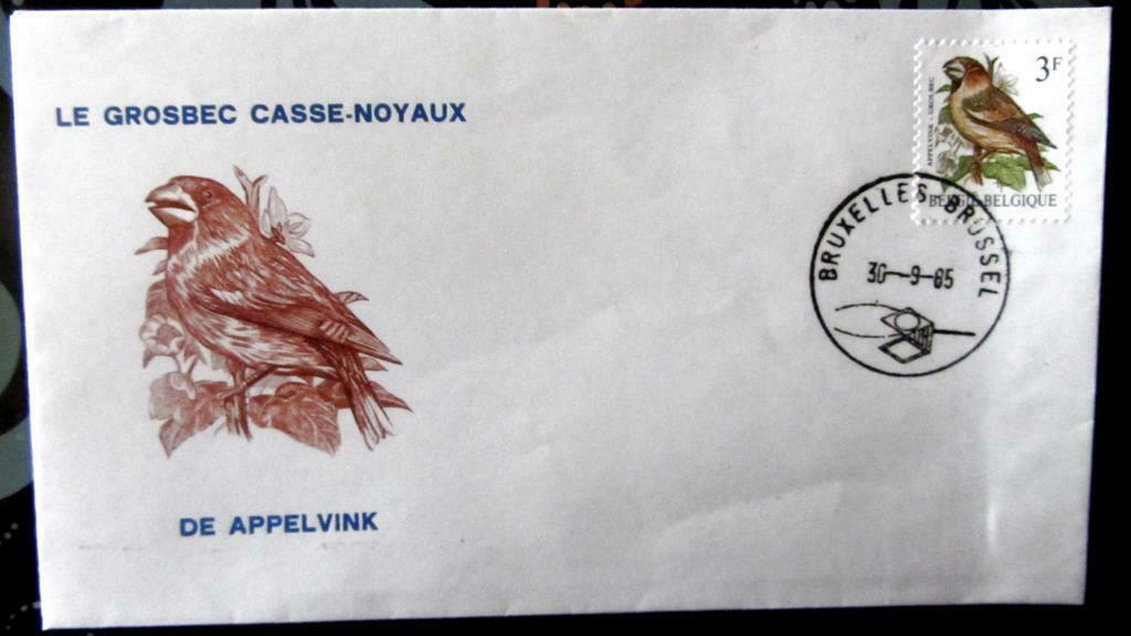 FIRST DAY COVER- VOGELS VAN BUZIN- DE APPELVINK, Enlèvement ou Envoi, Affranchi, Animal et Nature