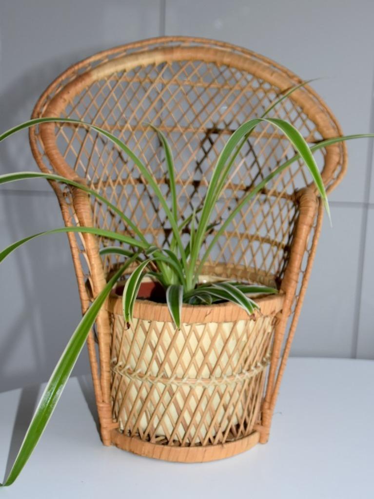 Vintage pauwenstoel voor plant, Overige materialen, Rond, Binnen, Ophalen of Verzenden
