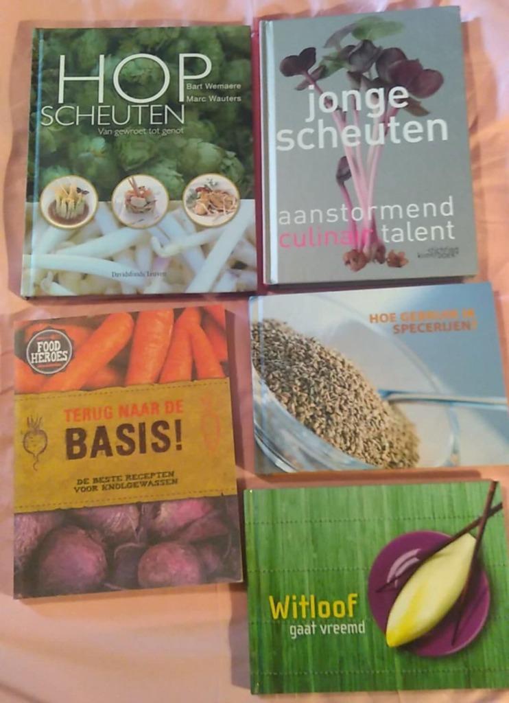 hop scheuten jonge scheuten specerijen knolgewassen witloof, Enlèvement ou Envoi