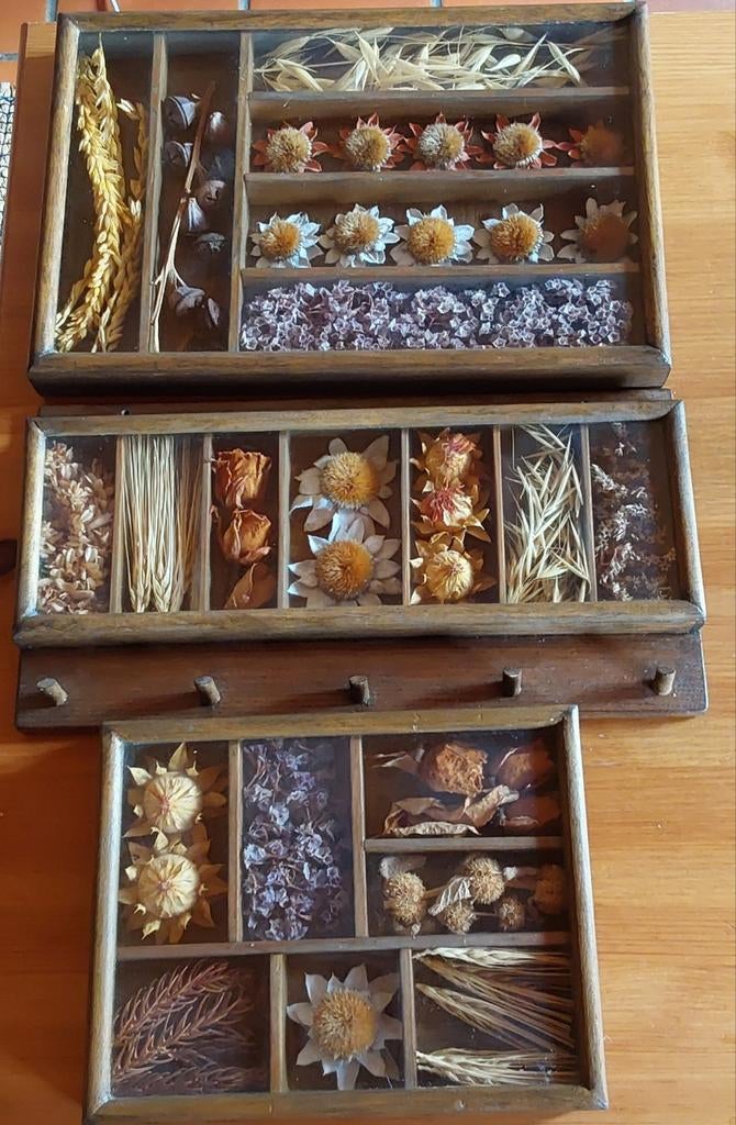 3 cadres originaux en bois contenant diverses fleurs séchées, Enlèvement ou Envoi, Comme neuf