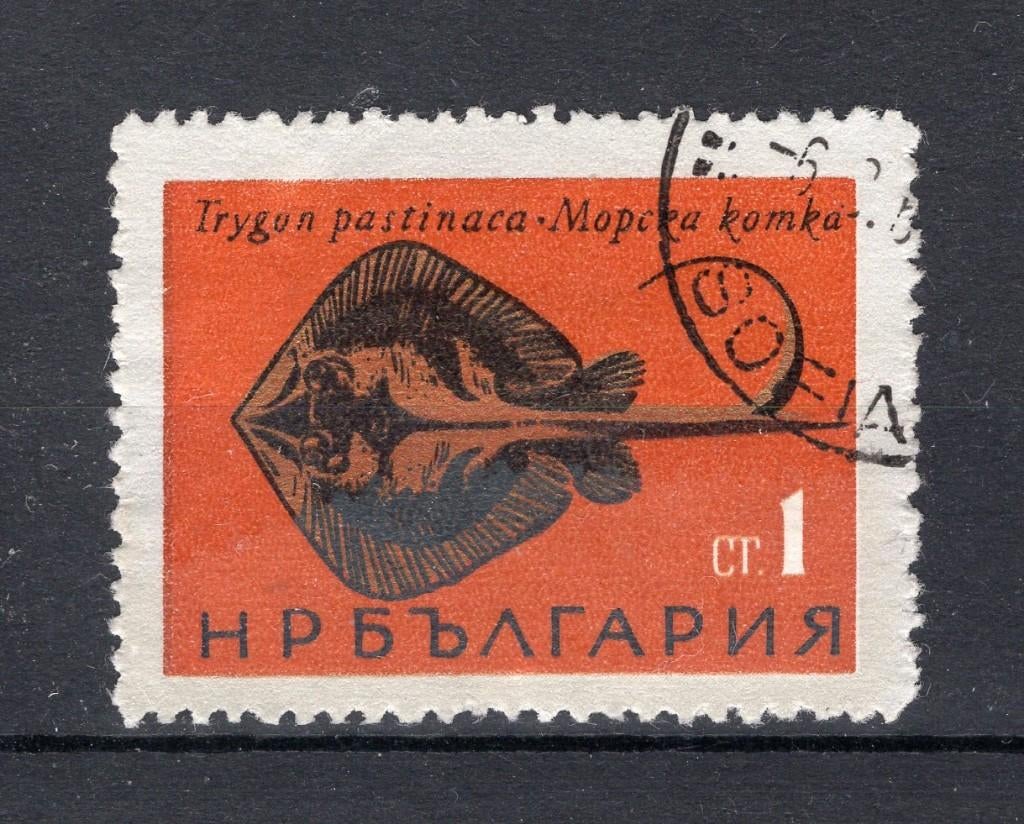BULGARIE Yt. 1328 estampillée 1965, Enlèvement ou Envoi, Bulgarie, Affranchi