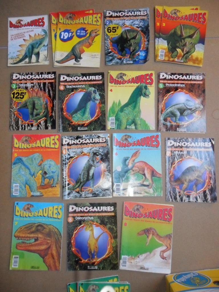 Dinosaures - Sur les traces des géants de la préhistoire, Livres, Animaux & Animaux domestiques, Enlèvement ou Envoi, Utilisé
