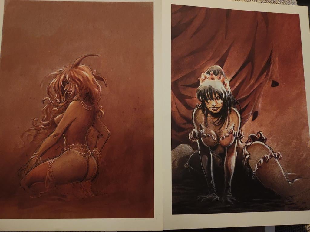 Illustration A4 Lanfeust de Troy 110€ pour les 2, 70€/pièce, Enlèvement ou Envoi