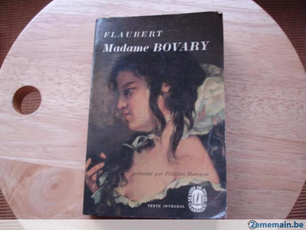 Madame Bovary, Flaubert, Livres, Enlèvement ou Envoi, Utilisé
