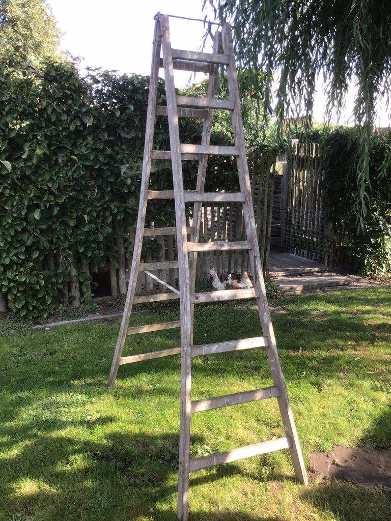 Escabeau en bois Brocante, Enlèvement