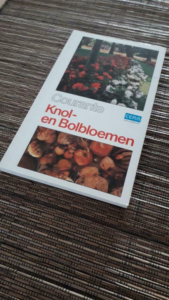 Courante Knol- en Bolbloemen, Ophalen of Verzenden, Zo goed als nieuw, Tuinieren en Tuinplanten
