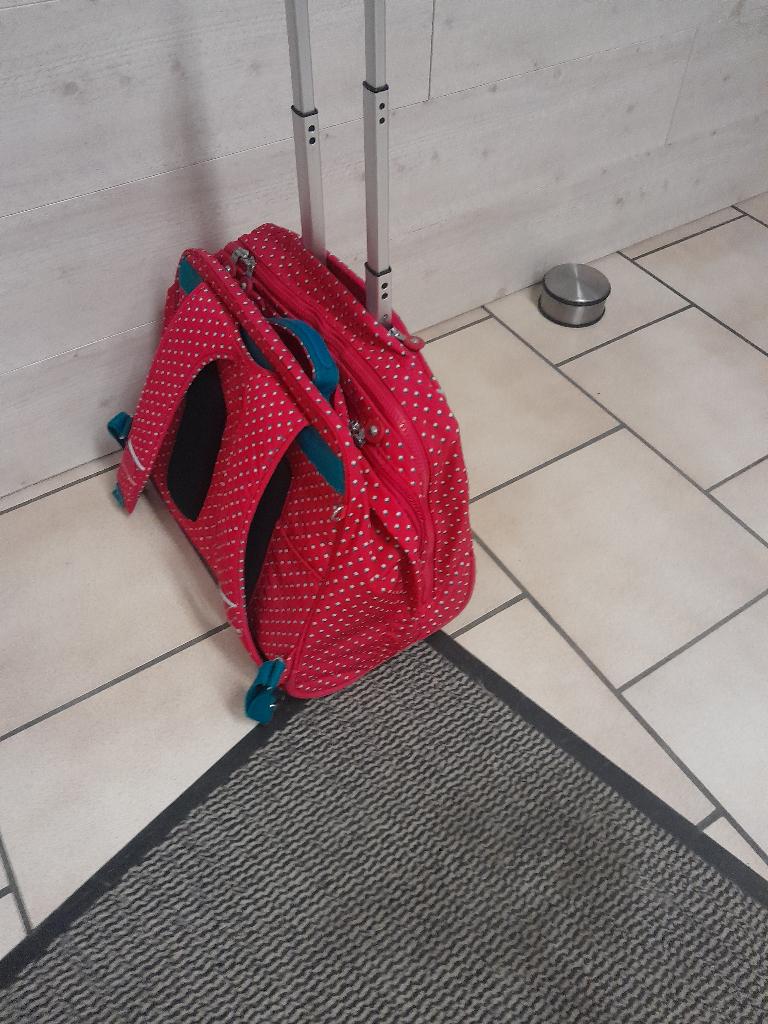Schooltas, Bijoux, Sacs & Beauté, Sacs | Cartables, Enlèvement, Comme neuf, Sac à dos
