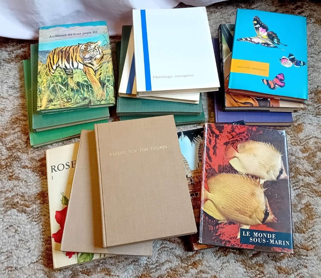 Lot de 15 albums Artis Historia, Enlèvement, Utilisé