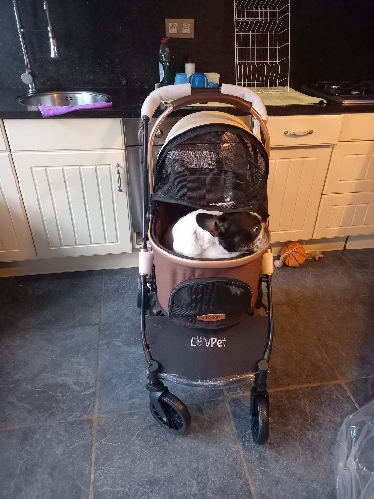 Honde Buggy, Overige merken, Ophalen, Zo goed als nieuw, Hondenbuggy