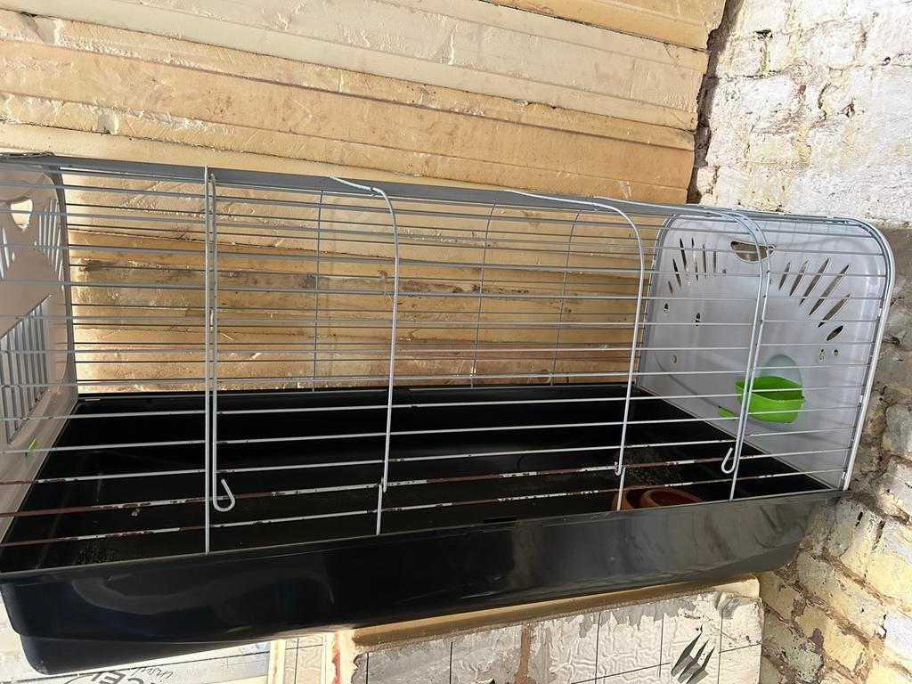 Cage a lapin ou cobaye, Ophalen of Verzenden, Gebruikt, Kooi, Cavia