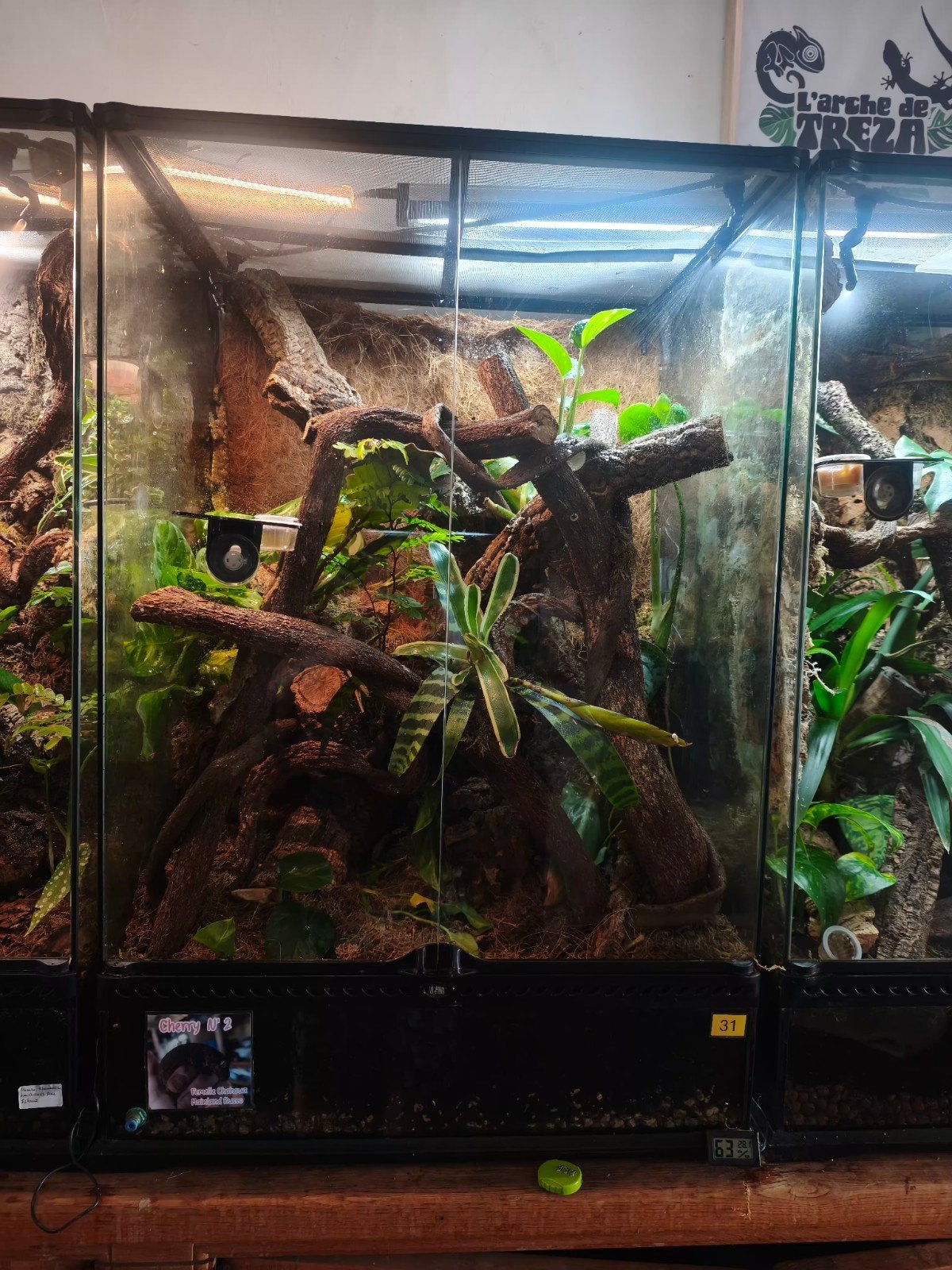 Exo Terra 60x45x90 Jungle mood Bio-actif, Animaux & Accessoires, Reptiles & Amphibiens | Accessoires, Enlèvement, Comme neuf, Terrarium ou Paludarium
