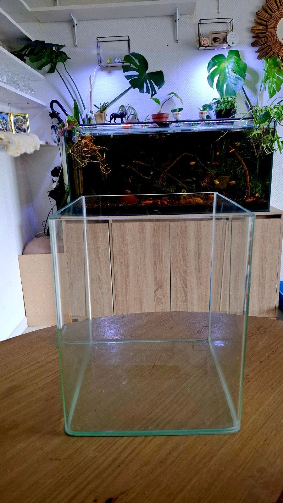 Nano cube 18, Ophalen, Zo goed als nieuw, Leeg aquarium, Dennerle