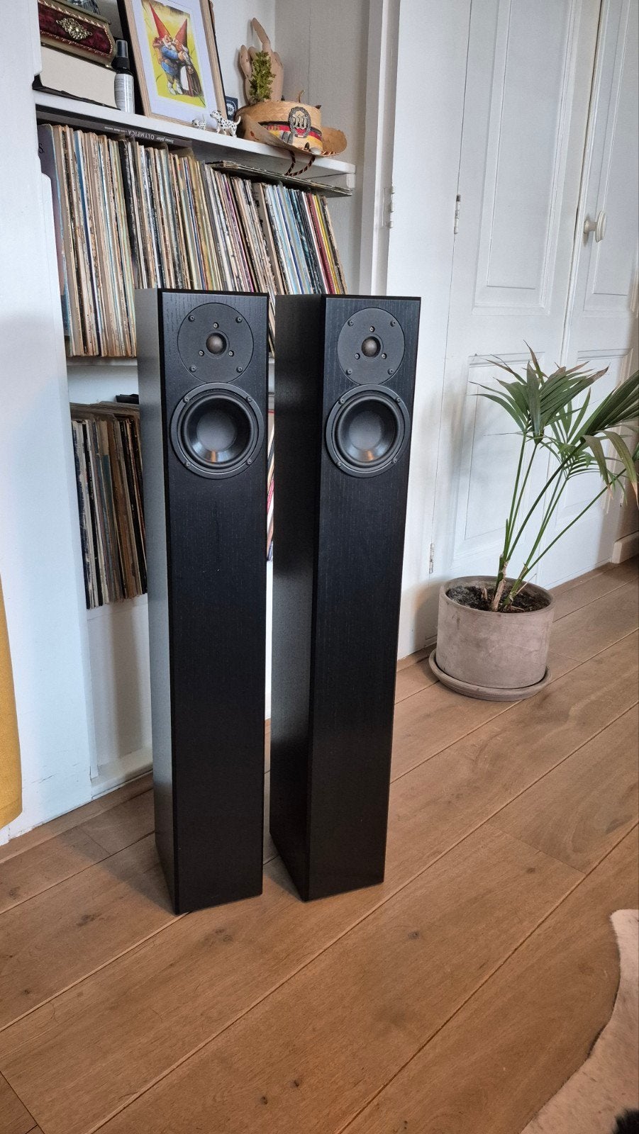totem arro luidsprekers, z.g.a.n., Ophalen