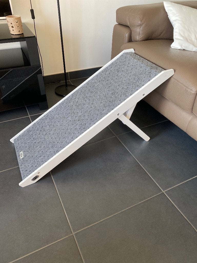 Rampe pour chien, Animaux & Accessoires, Autres accessoires pour animaux, Neuf, Enlèvement