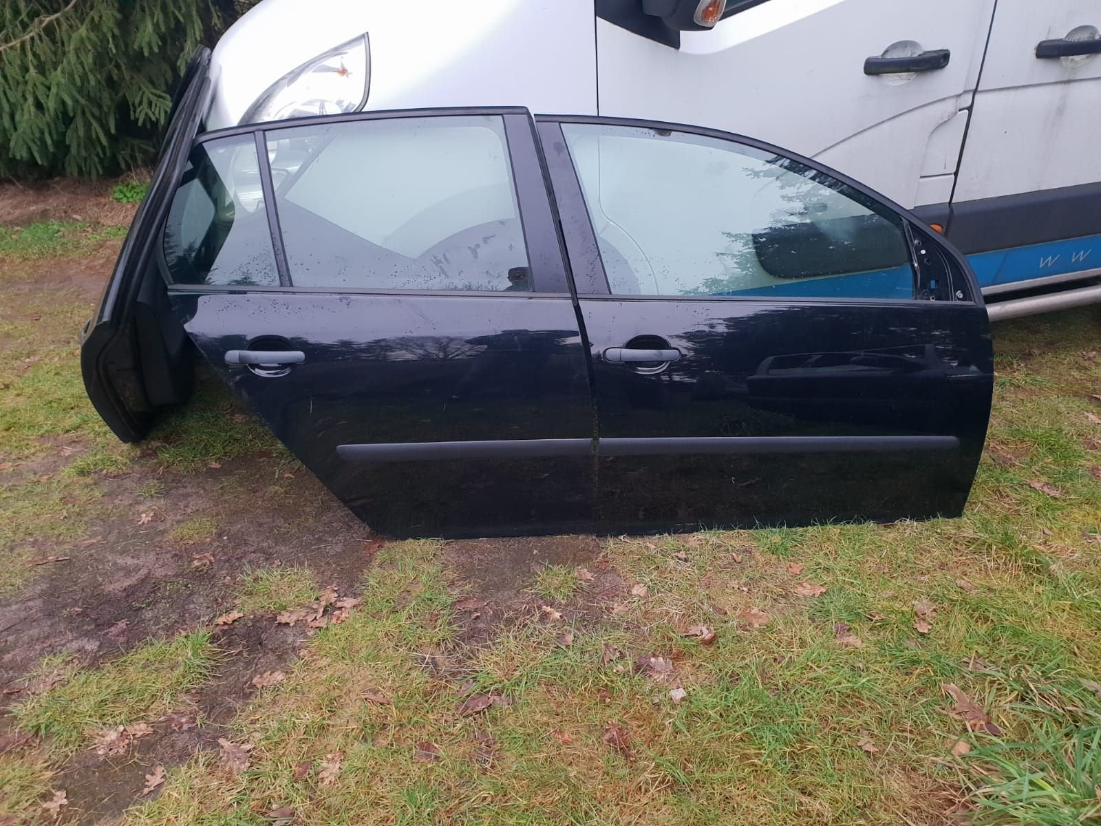 VW GOLF V PORTIEREN RV+RA  BJ 2004 TOT 2009, Auto-onderdelen, Carrosserie, Deur, Gebruikt, Ophalen of Verzenden