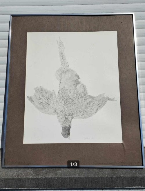 Lithographie oiseaux mort signe paul georges klein, Antiquités & Art, Enlèvement ou Envoi, Lithographie