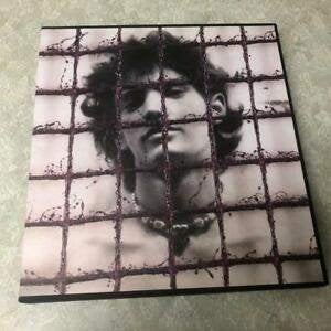 Robert Mapplethorpe  5   Fotoboek, Verzenden, Nieuw, Schilder- en Tekenkunst