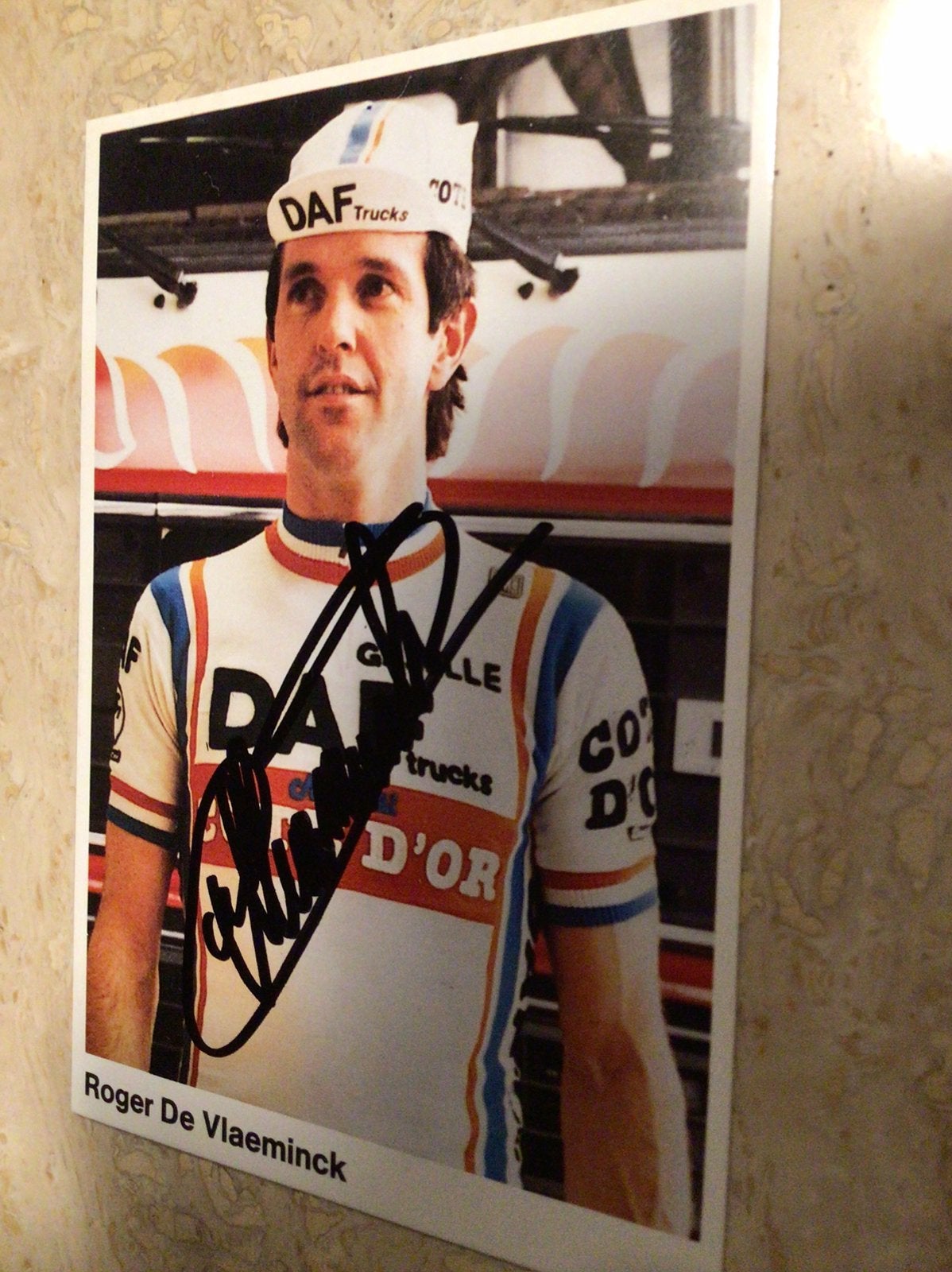 Wielerkaart team daf roger de vlaeminck signe, Ophalen of Verzenden, Zo goed als nieuw