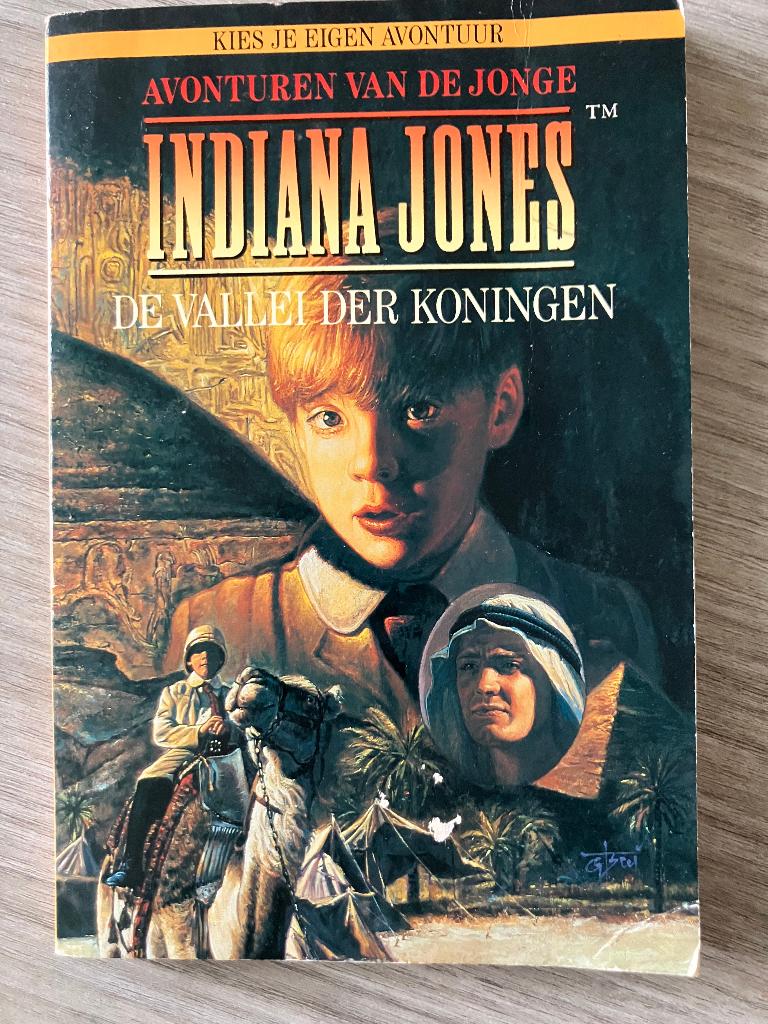 boek Indiana Jones - De vallei der koningen, Boeken, Ophalen of Verzenden, Gelezen