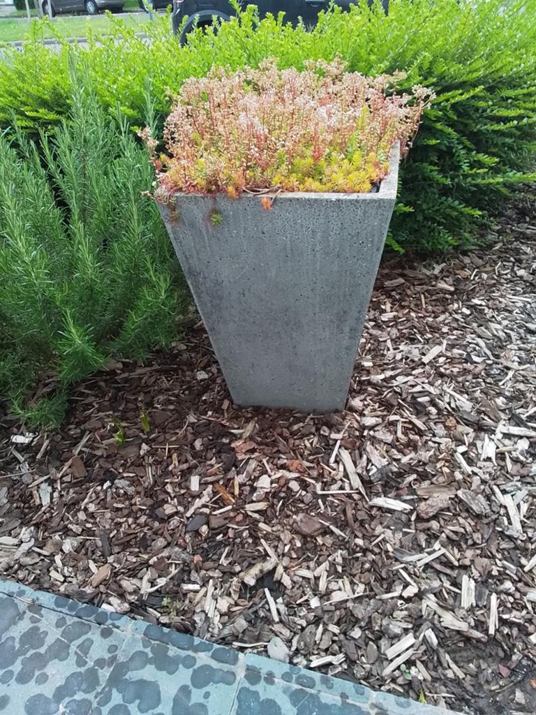 Grand bac à fleurs, Jardin & Terrasse, Enlèvement