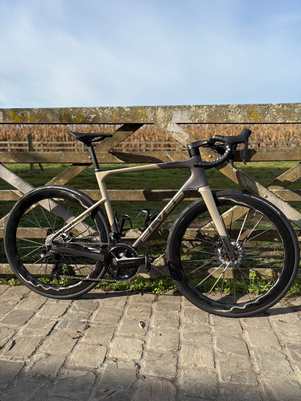 **NIEUW** Elves Eglath Arx, Ophalen, Nieuw, Carbon, Schijfrem