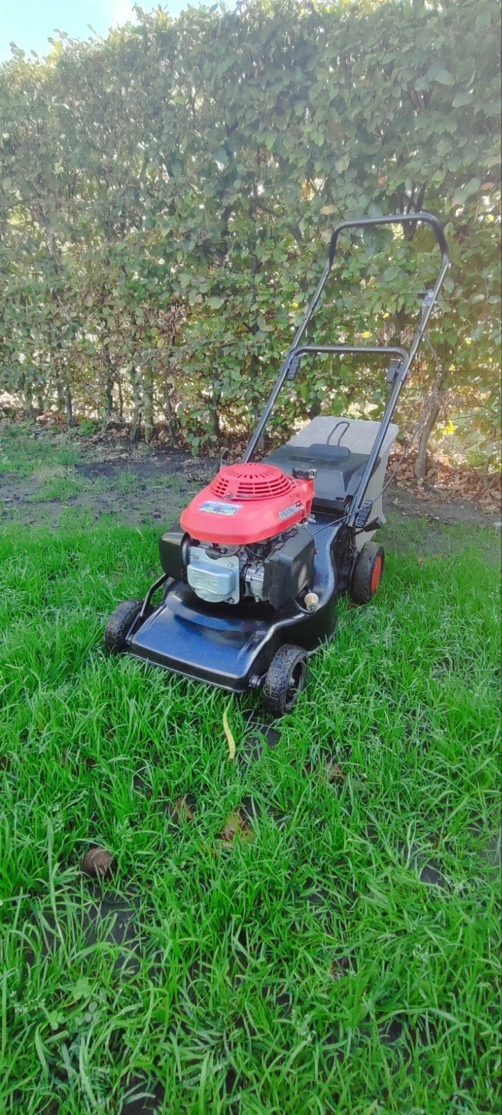 Honda gcv 135, Tondeuse rotative, Tondeuses à gazon à essence, 40 à 49 cm, Enlèvement