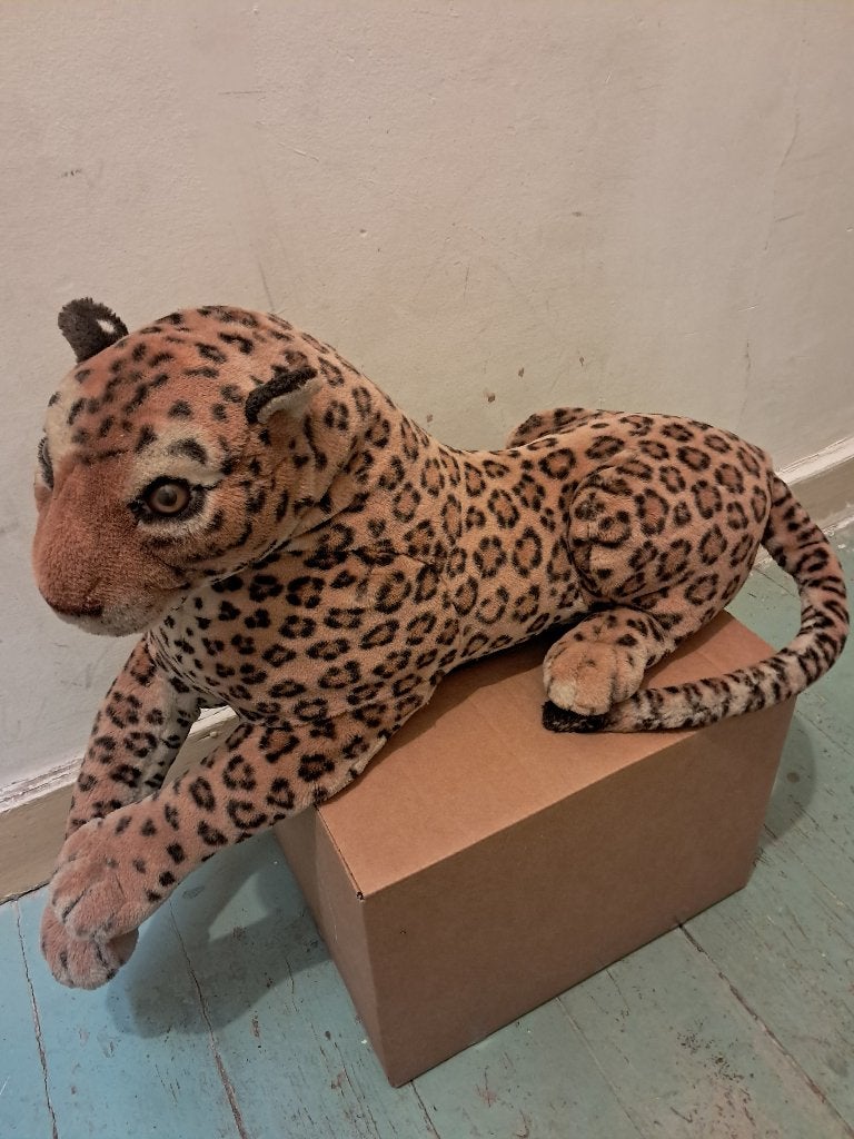 Grand Léopard., Collections, Ours & Peluches, Enlèvement