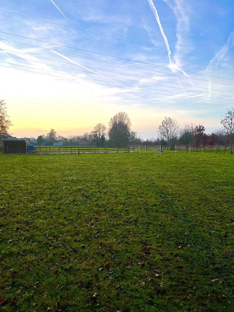 Mooie instapklare paardenweide te koop Borsbeek, 2 of 3 paarden of pony's