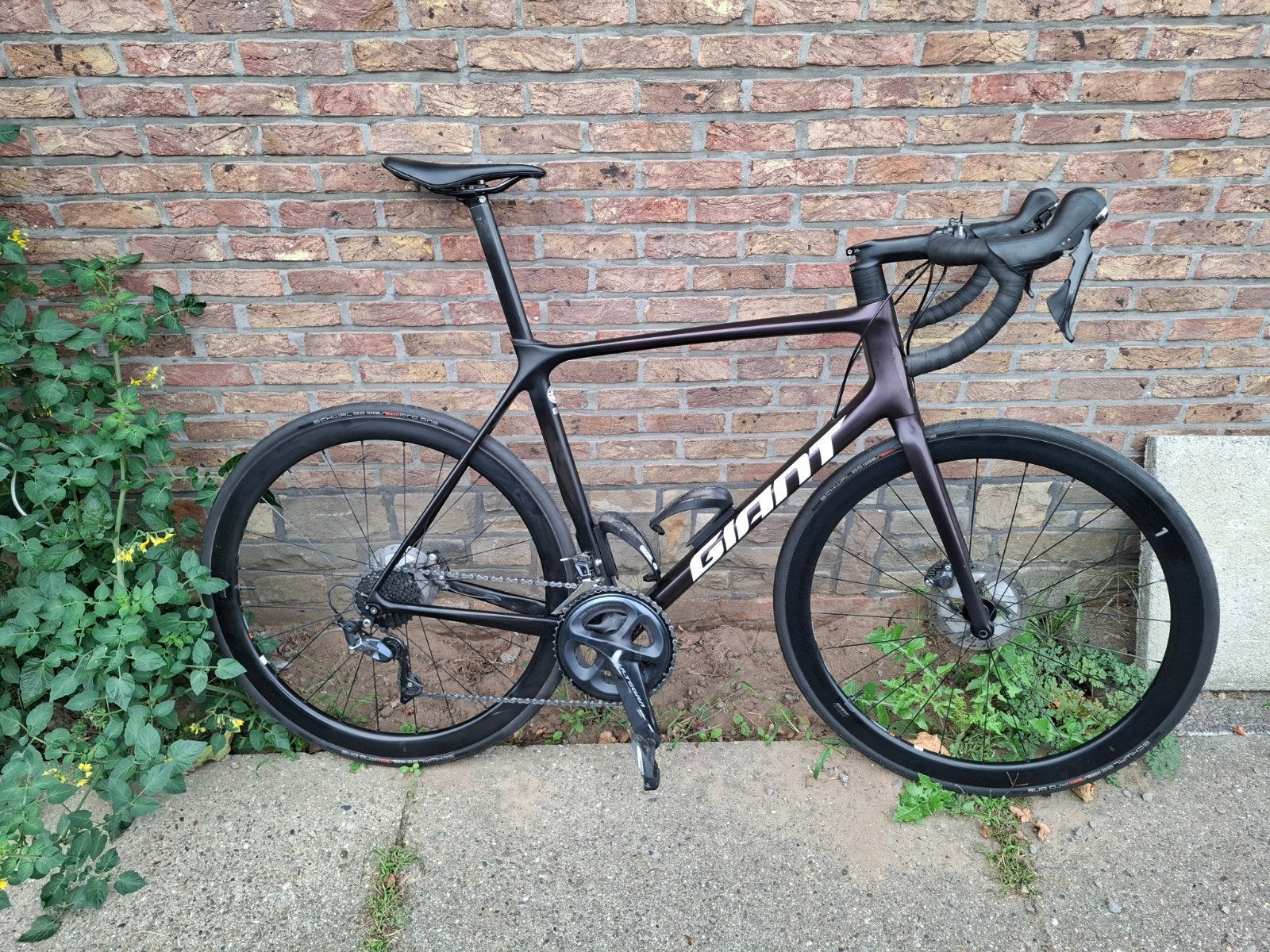 giant tcr pro1 met powermeter manueel geschakeld, 57 à 61 cm, Enlèvement, 28 pouces, Frein à disque