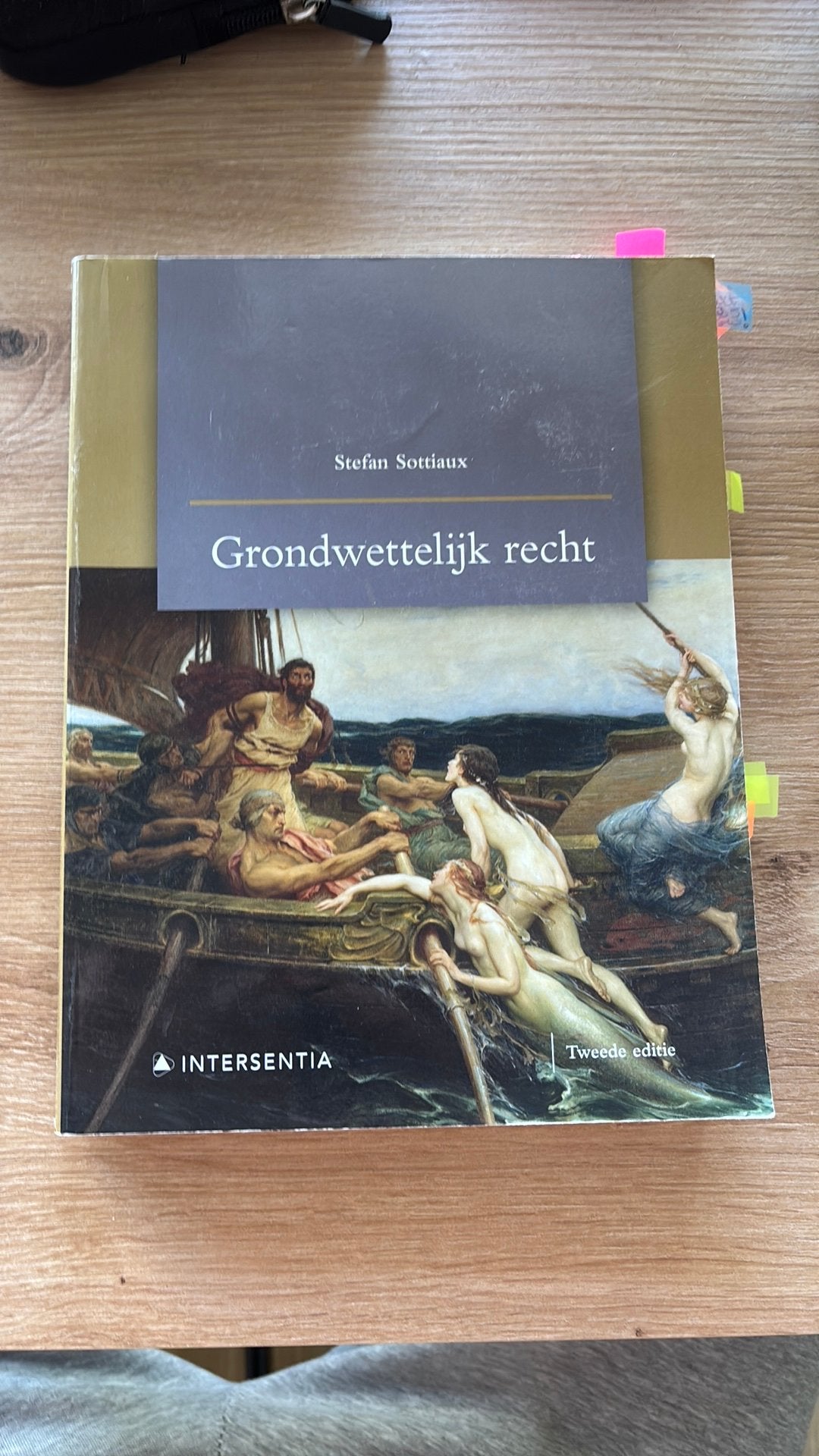 Boek Grondwettelijk recht Sottiaux, Boeken, Ophalen of Verzenden, Gelezen