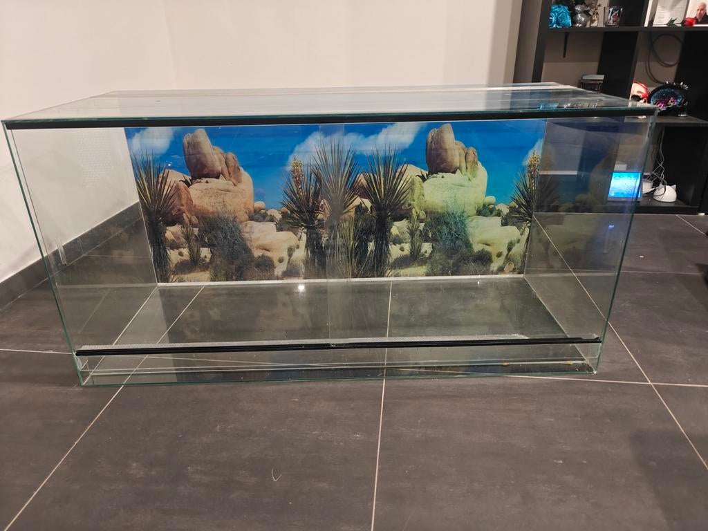 Terrarium met achtergrond, Dieren en Toebehoren, Reptielen en Amfibieën | Toebehoren, Ophalen, Gebruikt, Terrarium of Paludarium