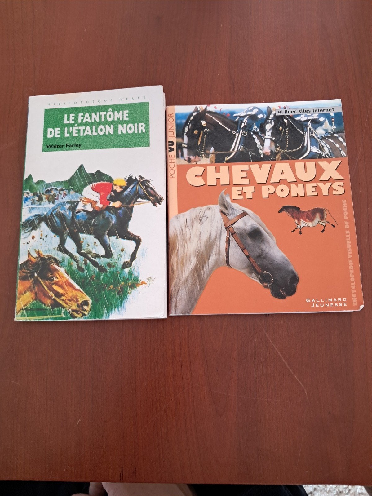 livre sur les chevaux, Livres, Enlèvement