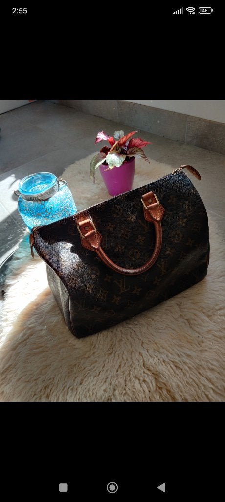 Louis Vuitton Speedy, Ophalen, Gebruikt, Bruin, Handtas