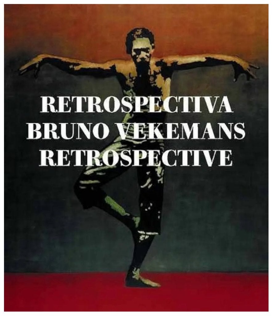 Bruno Vekemans  5 boeken, Neuf, Peinture et dessin, DIVERSEN, Enlèvement