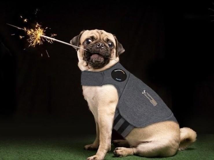 Thundershirt Antistress Vest -Hond-Grijs Medium NIEUW, Ophalen of Verzenden, Nieuw