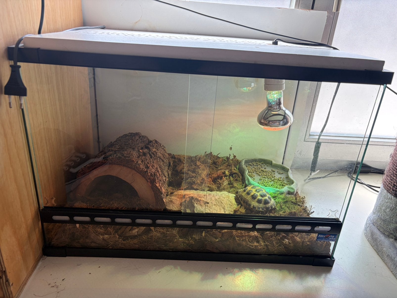 Terrarium 60x40x40, Ophalen, Zo goed als nieuw