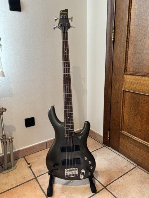Ibanez Basgitaar, Enlèvement, Utilisé, Électrique